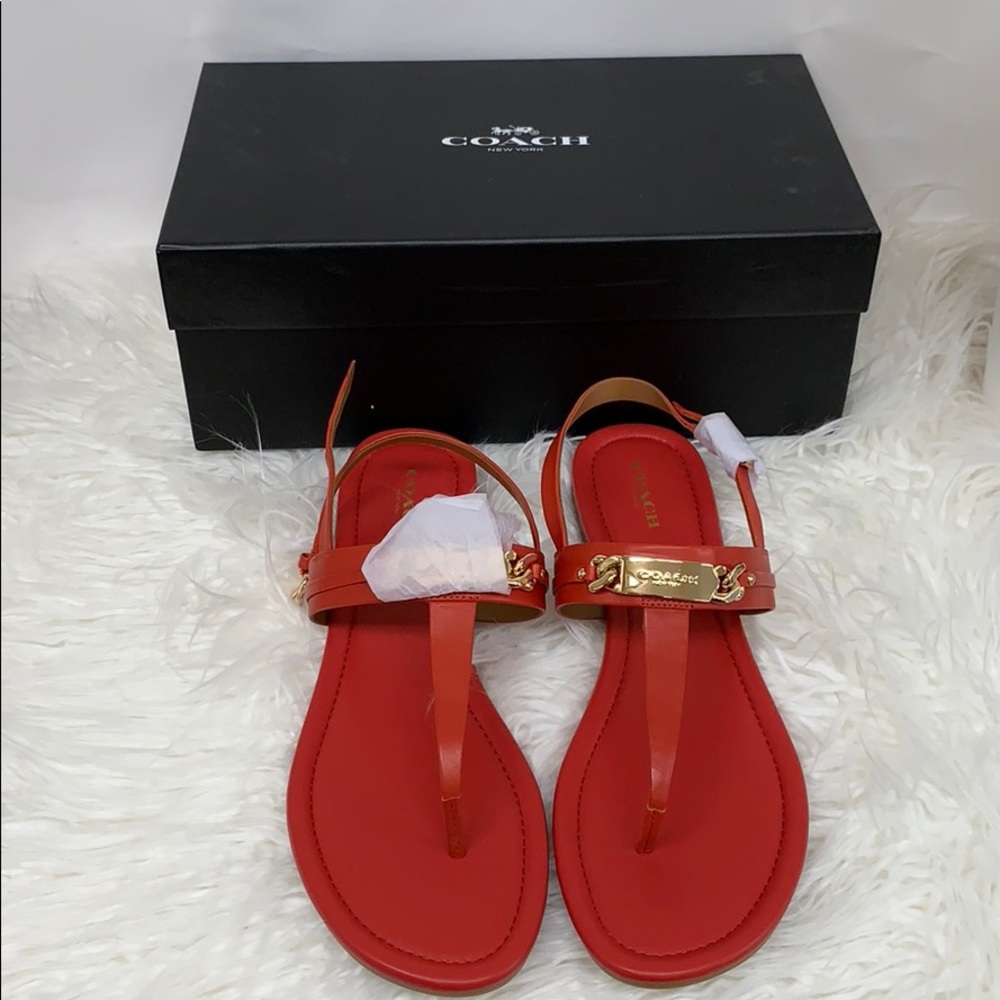 Coach- Carmine Sandals
